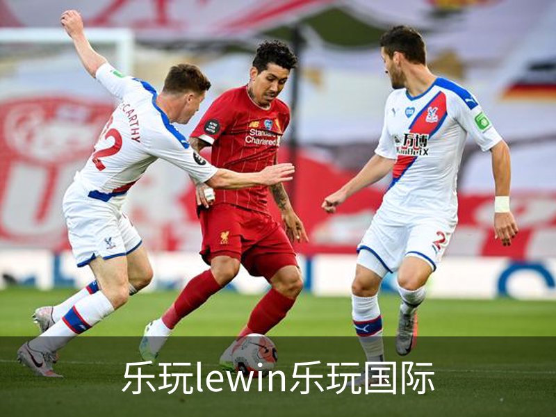 乐玩lewin乐玩国际概况